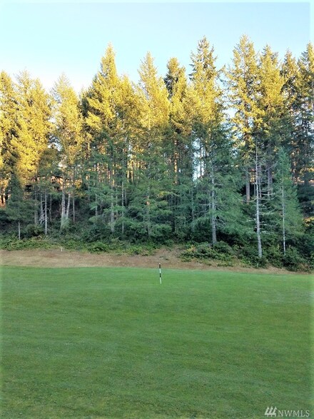 0 E Rhododendron Ln, Union, WA 98592