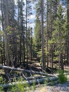 LOT 656 Alice Rd, Idaho Springs, CO 80452