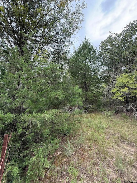 TBD County Road 4620, Troup, TX 75789