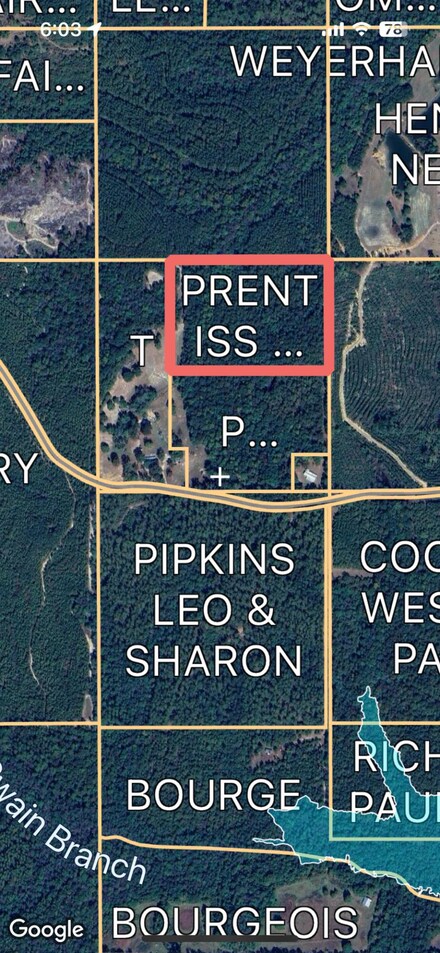 214 Forest Lake Rd, Beaumont, MS 39423