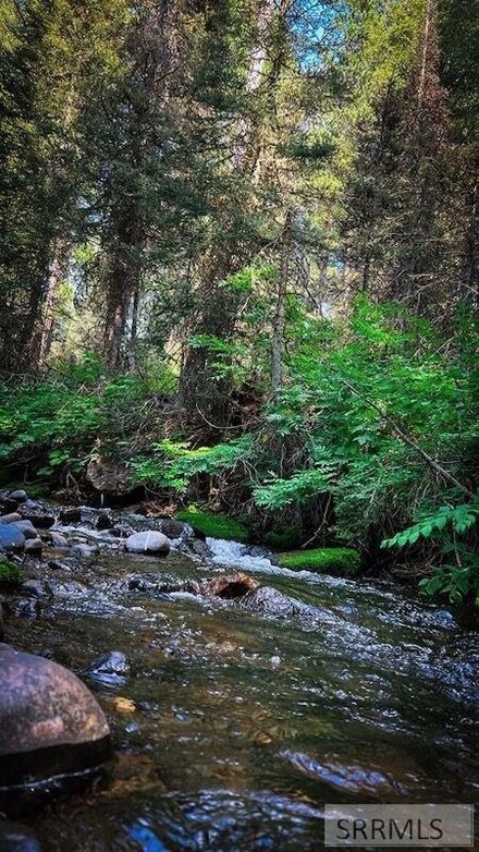 4142 Yale Creek Rd, Island Park, ID 83429