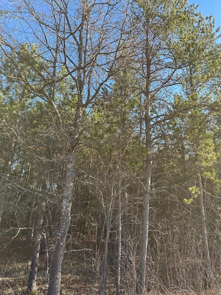 ON Lower Kaubashine Rd Unit 4094-1, Minocqua, WI 54548