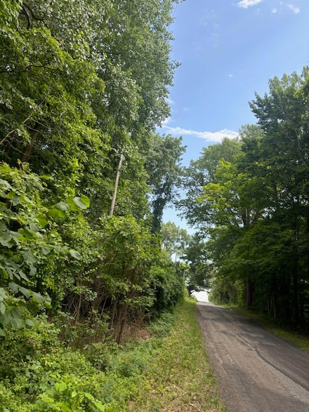 Lot 1A 73rd St, South Haven, MI 49090