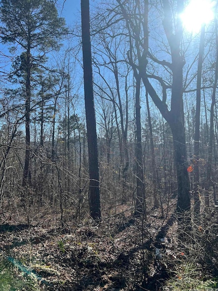 00 Peyton Creek Rd, Dennard, AR 72629