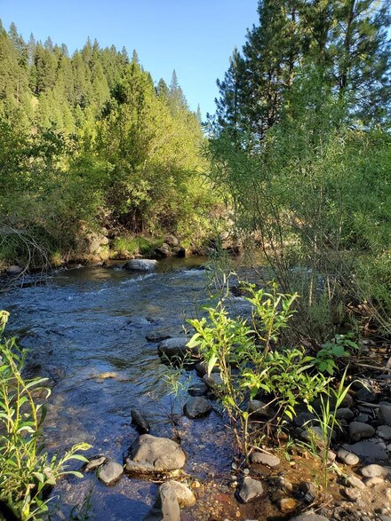 5255 Hwy 95, New Meadows, ID 83654