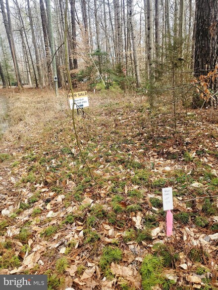 0 Summer Dr Unit VACV2003474, Ruther Glen, VA 22546