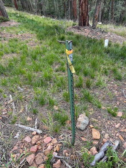 TBD Lot 1 2d Rd, Eagle Nest, NM 87710