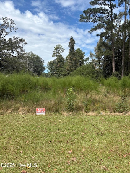 0 SW Railroad St, Wallace, NC 28466