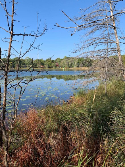 TBD Memorywood Dr, Baxter, MN 56425
