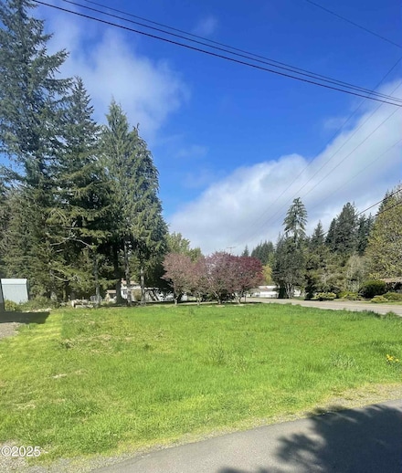 0 N Trout Ln, Rose Lodge, OR 97368