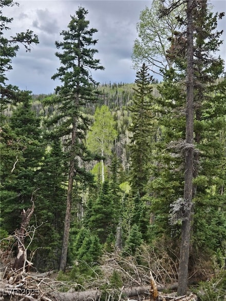0 Lot 39 Village W, Beaver, UT 84713