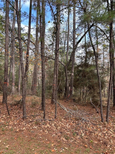 210 Twinstone Dr, Coldspring, TX 77331