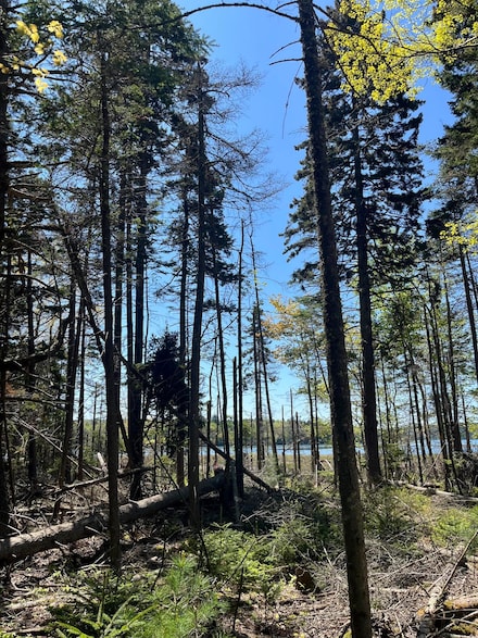 1572 Maine 102, Bar Harbor, ME 04609