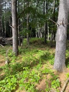 0 Tuttle Ln Unit 1628227, Bridgton, ME 04009