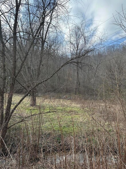 0 Icehouse Branch Rd, Manchester, KY 40962
