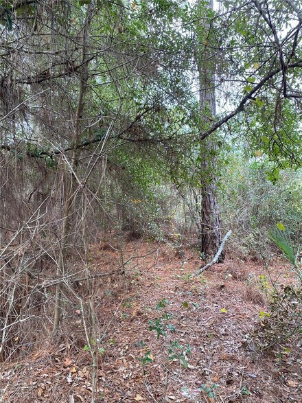0 Lakeside Dr Unit MFRO6221286, Lake MacK/deland, FL 32720