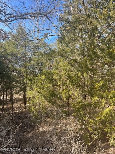 TBD N 4419 Ln, Ringold, OK 74754