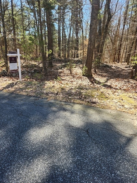 Lot 1A Bogastow Brook Rd, Sherborn, MA 01770