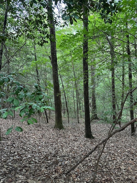County Highway 7, Repton, AL 36475