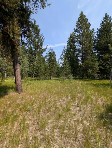 32 Thunderbolt Place Unit 79, McCall, ID 83638