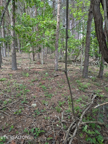 Lot 8 Foster Rd, Blaine, TN 37709
