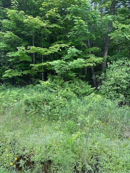 3-3-A Avenue Rd, Corinth, ME 04427