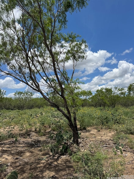 04 Windmill Ranchettes Cr 329, Jourdanton, TX 78064