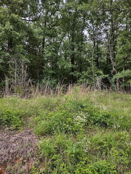 LOT 8 Circle Dr, Mayflower, AR 72106