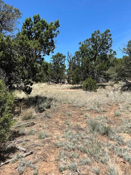 55 Elk Trail Unit 67, Pie Town, NM 87827