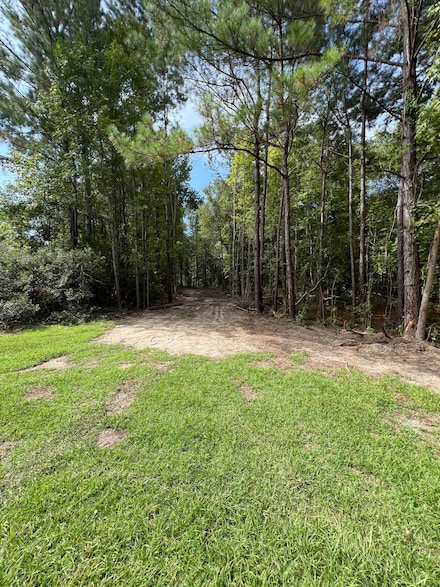 Lot 7 Wisteria Falls Trail, Saint Stephen, SC 29479