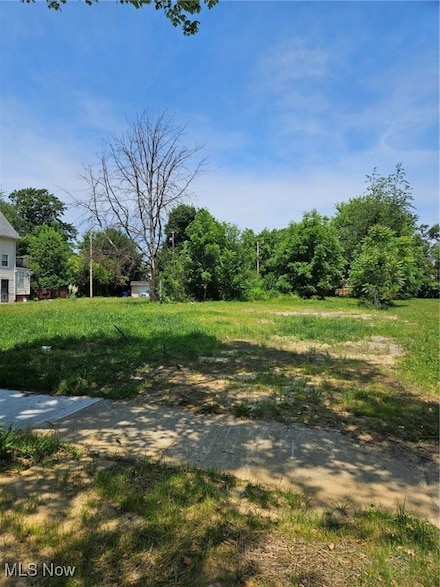 10835 Orville Ave, Cleveland, OH 44106
