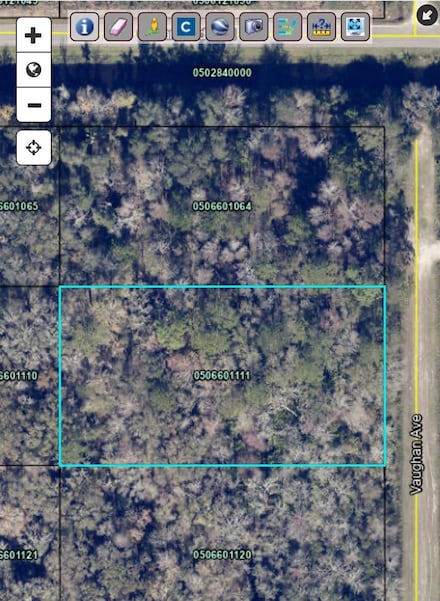 10415 Vaughan Ave, Hastings, FL 32145