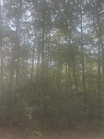 0 River Creek Rd, Cleveland, TX 77328