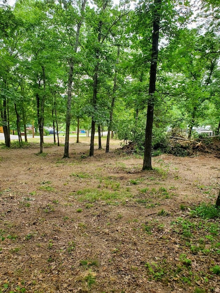 000 Highshore Rd, Flat Creek B Township, MO 65656