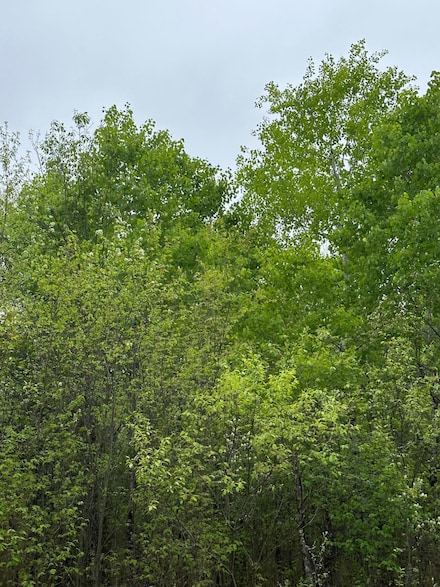 ON Kelly Dam Rd Unit Lot 10, Tomahawk, WI 54487