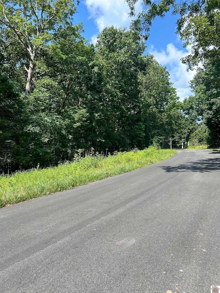 Bluegrass Est 6 Canton Blue Spring Rd, Cadiz, KY 42211