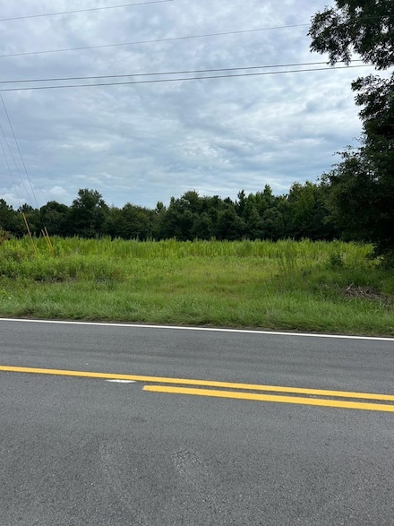 Lot 28 Christian Home Rd, Pitts, GA 31072