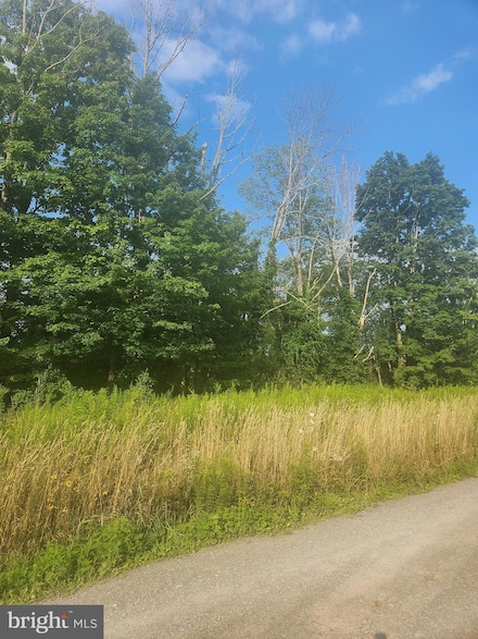 0 Pennsylvania 247, Greenfild Township, PA 18407