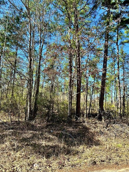 R153103 Whitehead Rd, Lufkin, TX 75901