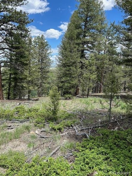 1519 Bolster Dr, Hartsel, CO 80449