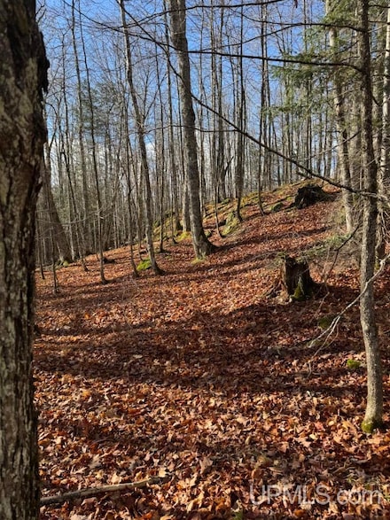 TBD Herman Nestoria Rd, L'Anse, MI 49946