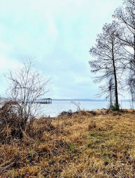 TBD Village Drive - Tract 3, Zwolle, LA 71486