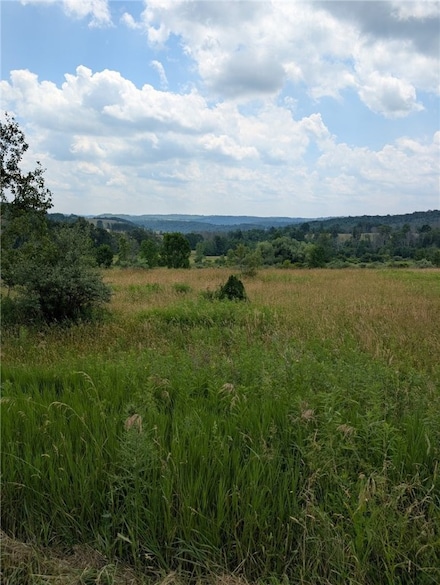 1922 Harkenrider Rd, Troupsburg, NY 14885