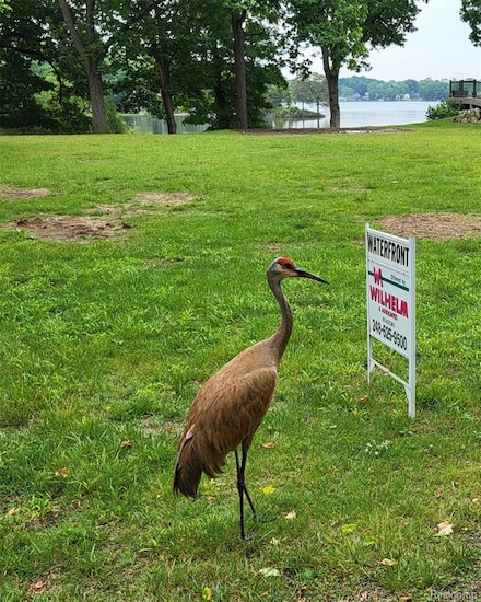 00 Blain Island, Waterford Township, MI 48329