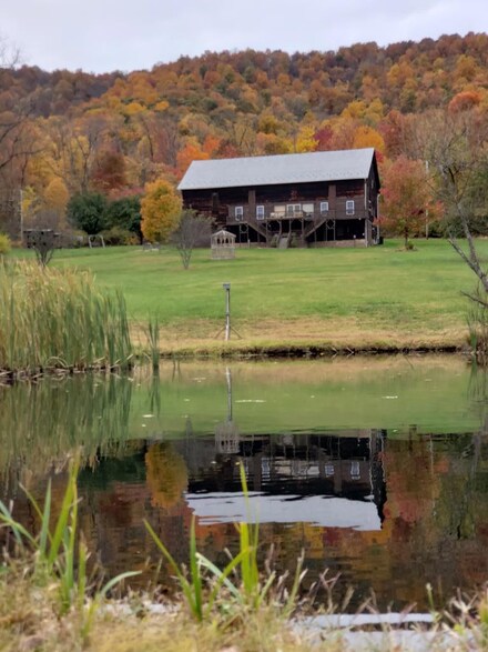 4689 Bitter Goose Ln, Broad Top City, PA 16621