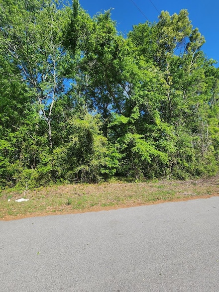 2395 Killdee Dr, Privateer, SC 29154