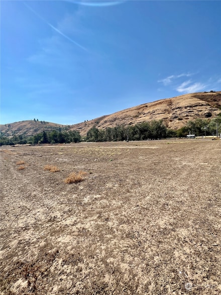 0 Lot 1 Coaches Court Ln, Dayton, WA 99328