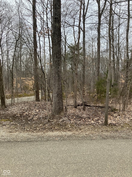 Lot 48 Troutman Dr, Union Township, IN 47872