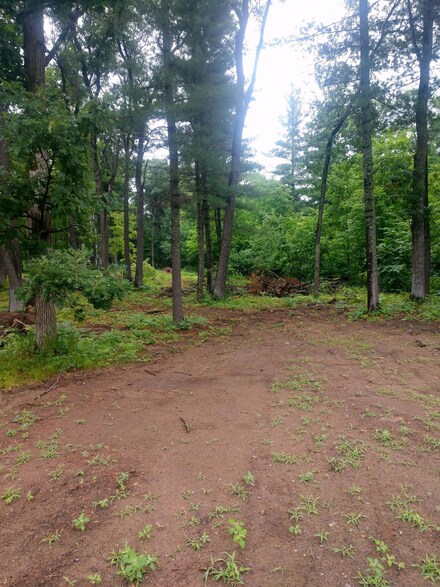 XXX 330th St, Motley, MN 56466
