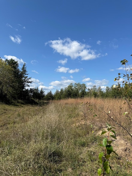 TBD Moonlight Ln SW, Bemidji, MN 56601